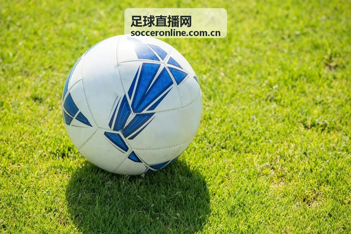 足球直播网积分榜球队